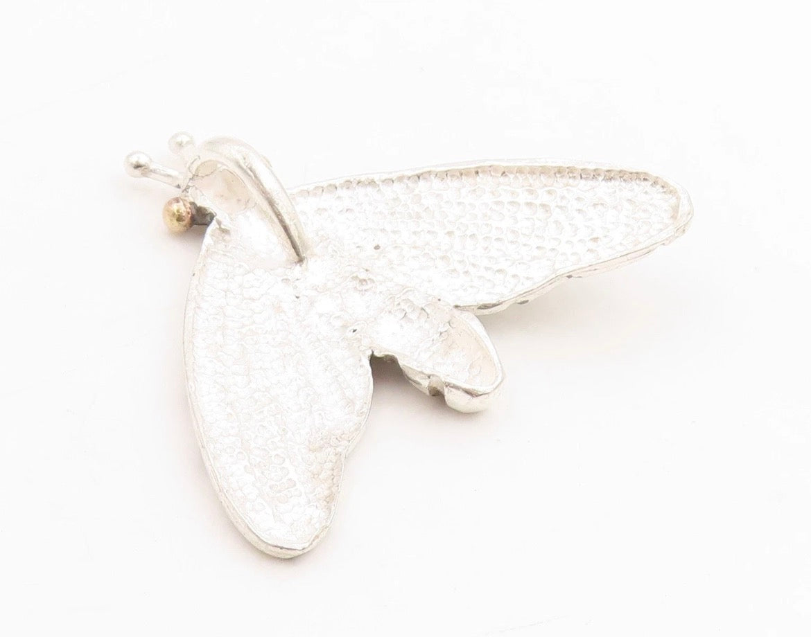 Silver Flying Friend