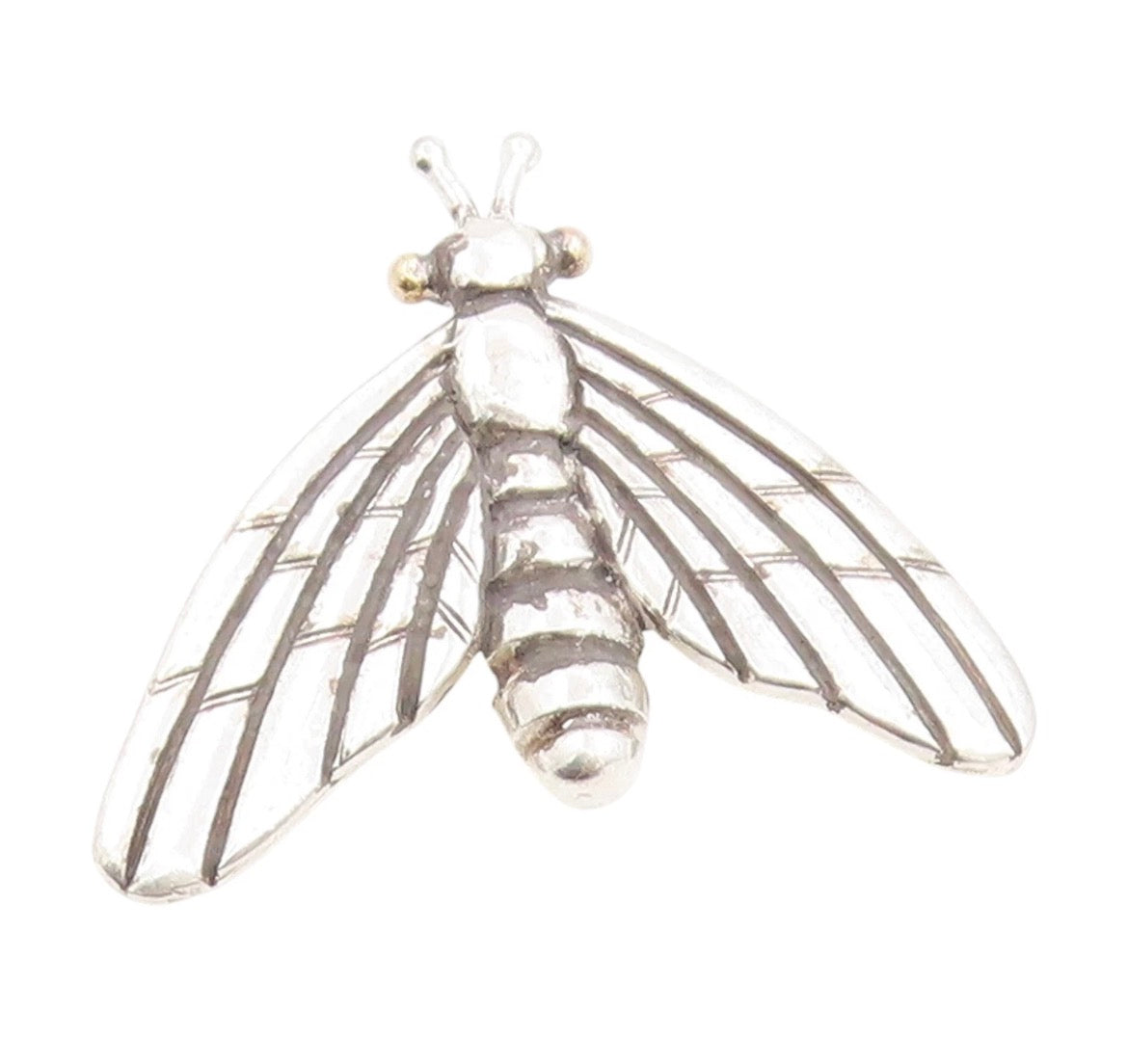 Silver Flying Friend